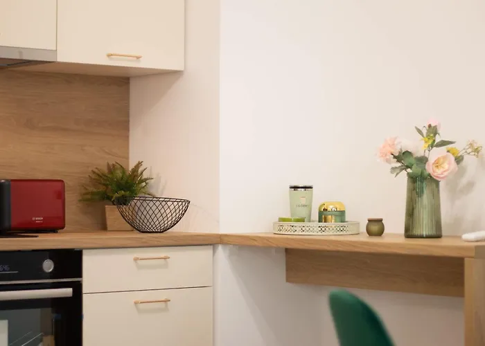 Апартаменты Joy Forest 44-26 Тимишоара