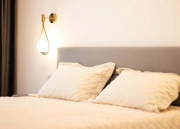 Joy Forest 44-26 * تيميشورا