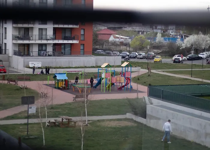 Joy Forest 44-26 * تيميشورا