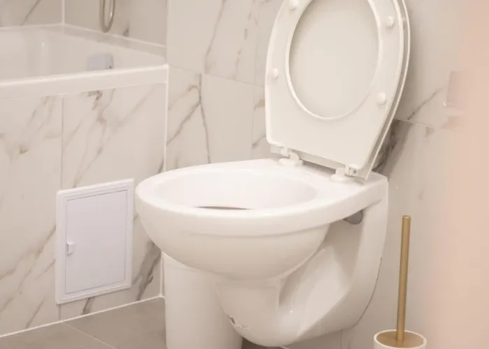 Joy Forest 44-26 Тимишоара