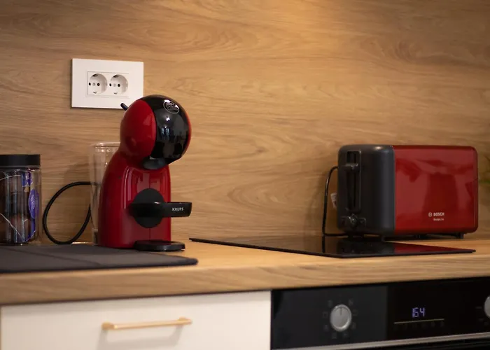 Joy Forest 44-26 * Тимишоара