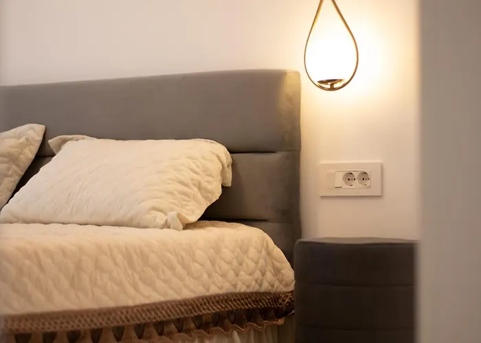 Joy Forest 44-26 * تيميشورا