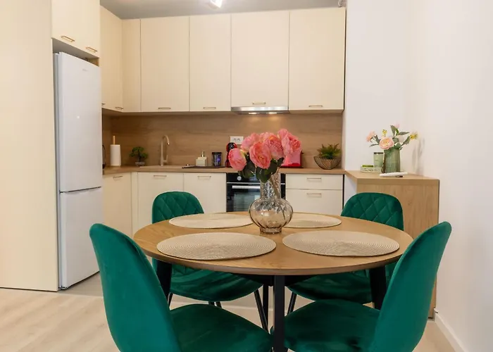 Joy Forest 44-26 * Timisoara