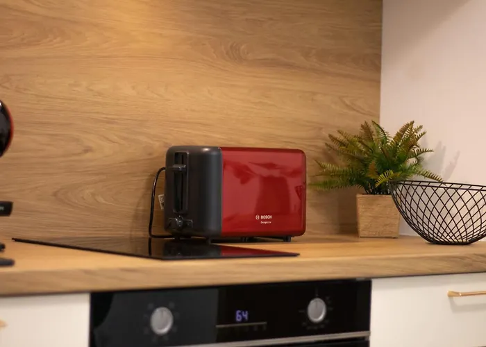 Joy Forest 44-26 * Timisoara